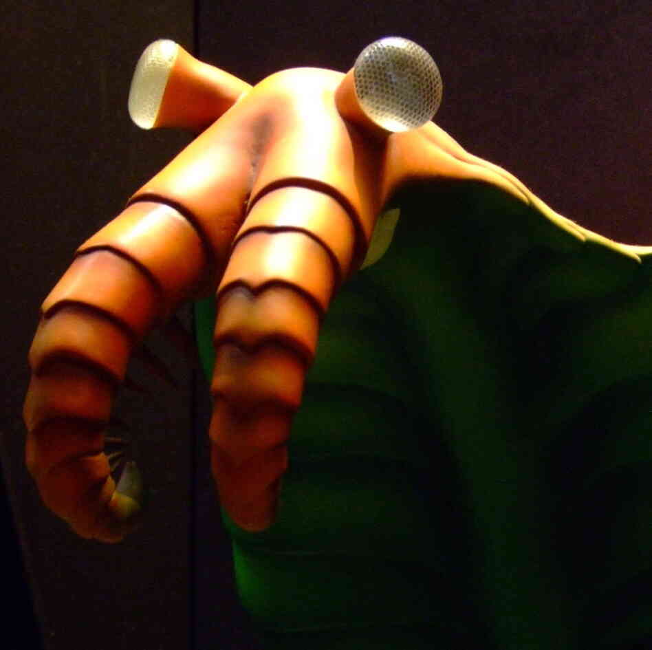 Illustration of Anomalocaris.