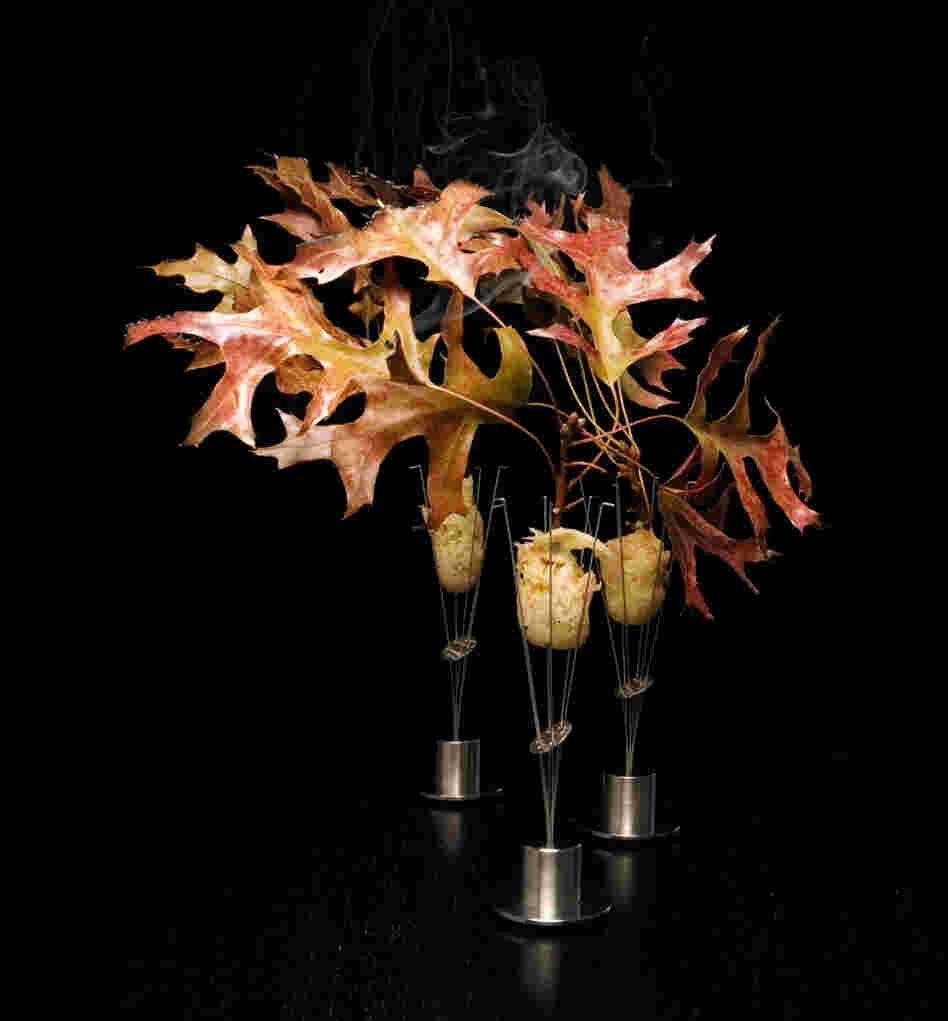 Alinea's version of pheasant, served with shallot, cider gel and burning oak leaves.