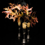 Alinea's version of pheasant, served with shallot, cider gel and burning oak leaves. Alinea's version of pheasant, served with shallot, cider gel and burning oak leaves.