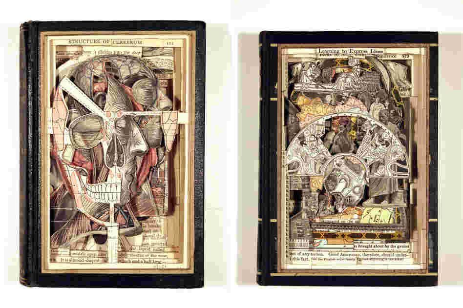 Manual of Practical Anatomy Volume 3 and Todays World.