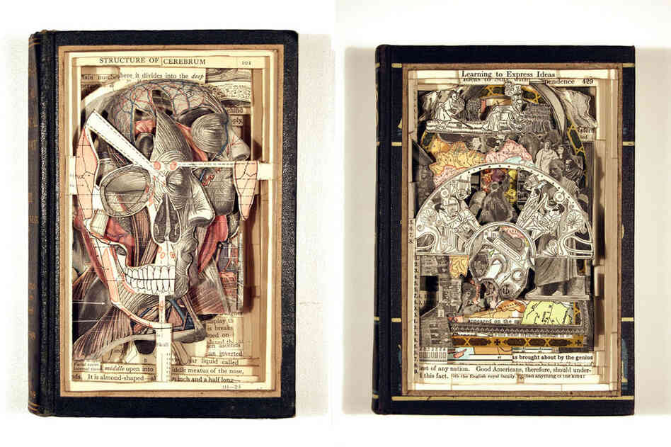 Manual of Practical Anatomy Volume 3 and Todays World.