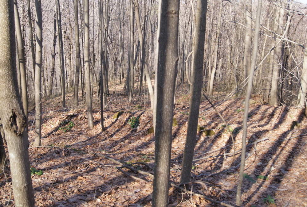 One of the many trenches on Blair Mountain where coal company operatives fired at protesting miners.