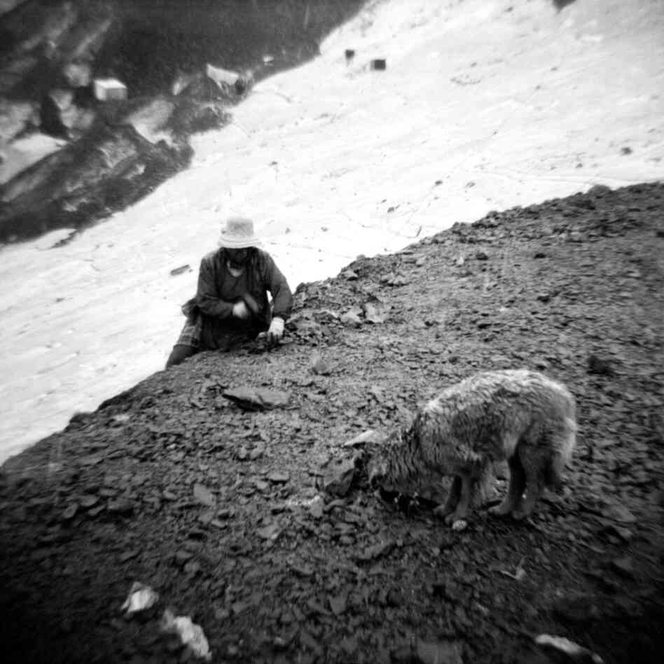 A woman works discarded stone at the edge of the glacier. A woman works discarded stone at the edge of the glacier.