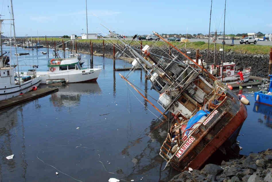 A fishing boat lies on its side in shallow water in the boat basin at Crescent City, Calif., after a tsunami surge withdrew Friday.