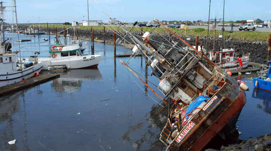 A fishing boat lies on its side in shallow water in the boat basin at Crescent City, Calif., after a tsunami surge withdrew March 11. The surges broke loose and damaged most of the 35 boats that remained in the harbor. A fishing boat lies on its side in shallow water in the boat basin at Crescent City, Calif., after a tsunami surge withdrew March 11. The surges broke loose and damaged most of the 35 boats that remained in the harbor.