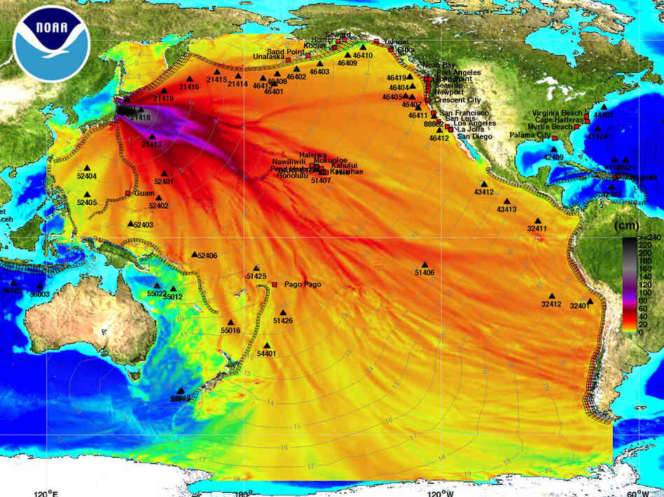 This chart from the National Oceanic and Atmospheric Administration shows how the tsunami is expected to travel across the Pacific Ocean. The dark black and purple indicate the highest rise in sea level. The light gray lines indicate when the tsunami wave is expected to arrive. View High-Res Version This chart from the National Oceanic and Atmospheric Administration shows how the tsunami is expected to travel across the Pacific Ocean. The dark black and purple indicate the highest rise in sea level. The light gray lines indicate when the tsunami wave is expected to arrive. View High-Res Version