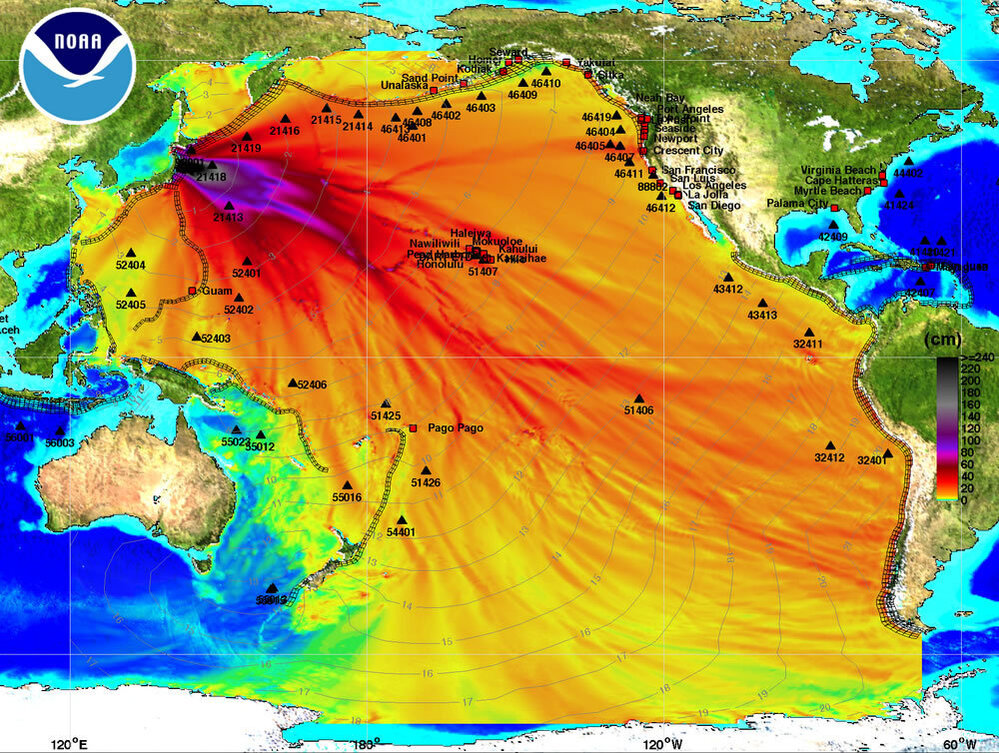 This chart from the National Oceanic and Atmospheric Administration shows the tsunami's expected path across the Pacific Ocean. The dark black and purple indicate the highest rise in sea level. The light gray lines indicate the tsunami wave's expected arrival time. View high-res version.