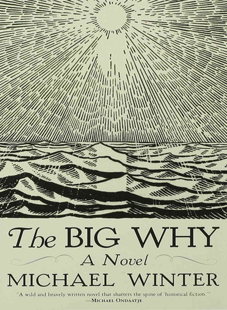 The Big Why The Big Why