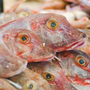 Eating a few mullet like these could be good for your eyes. Eating a few mullet like these could be good for your eyes.