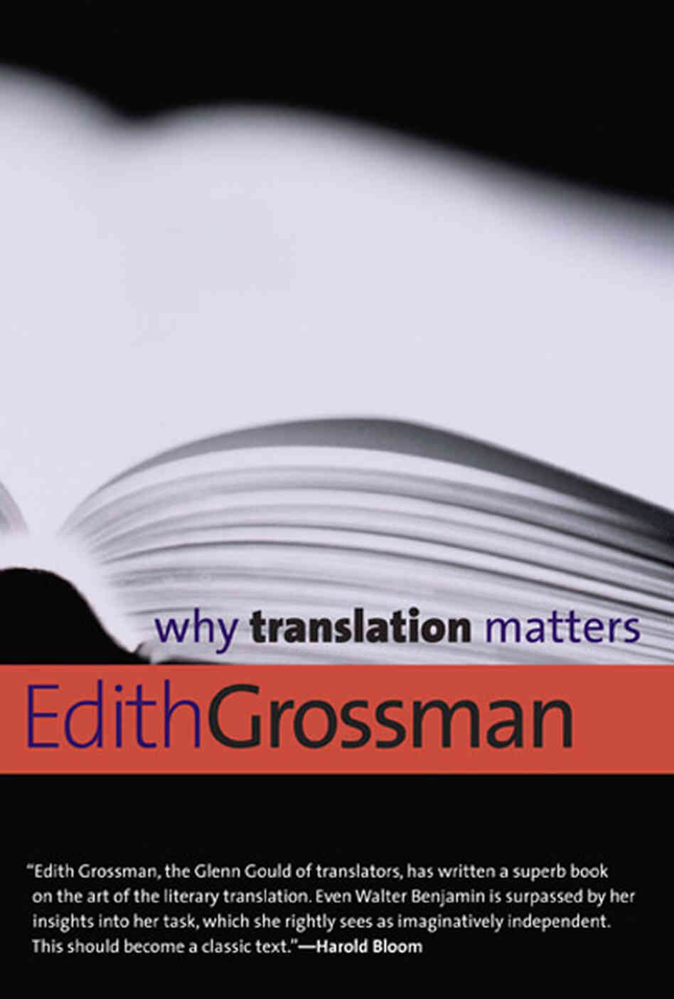 Why Translation Matters Why Translation Matters