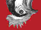 Blood, Bones & Butter