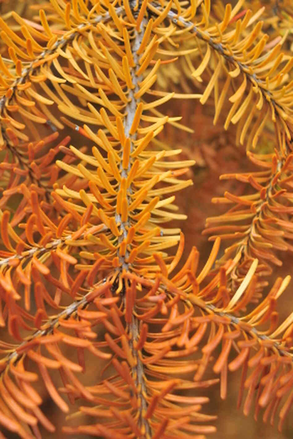 iStockphoto.com iStockphoto.com