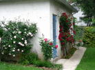 The landscaped backyard of Farai Chideya's family home in Baltimore. The landscaped backyard of Farai Chideya's family home in Baltimore.