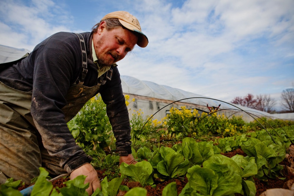 Zach Lester works in the field of his organic farm, Tree and Leaf Farm, in Unionville, Va., on March 16, 2011. 