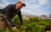 Zach Lester, seen here working in the field of Tree and Leaf Farm, grew the kale, chef Todd Woods cooked it, and Your Health podcast host Rebecca Davis got to eat it.