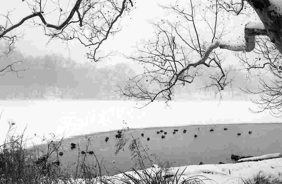 An image from the roll of film Todd Bieber found in New York.