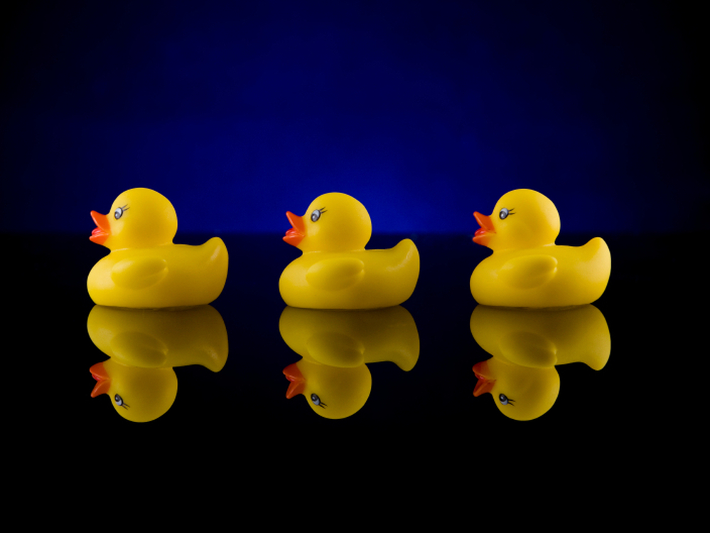In 1992, 28,800 rubber ducks were lost at sea. What happened to them is the subject of Donovan Hohn's book Moby-Duck.