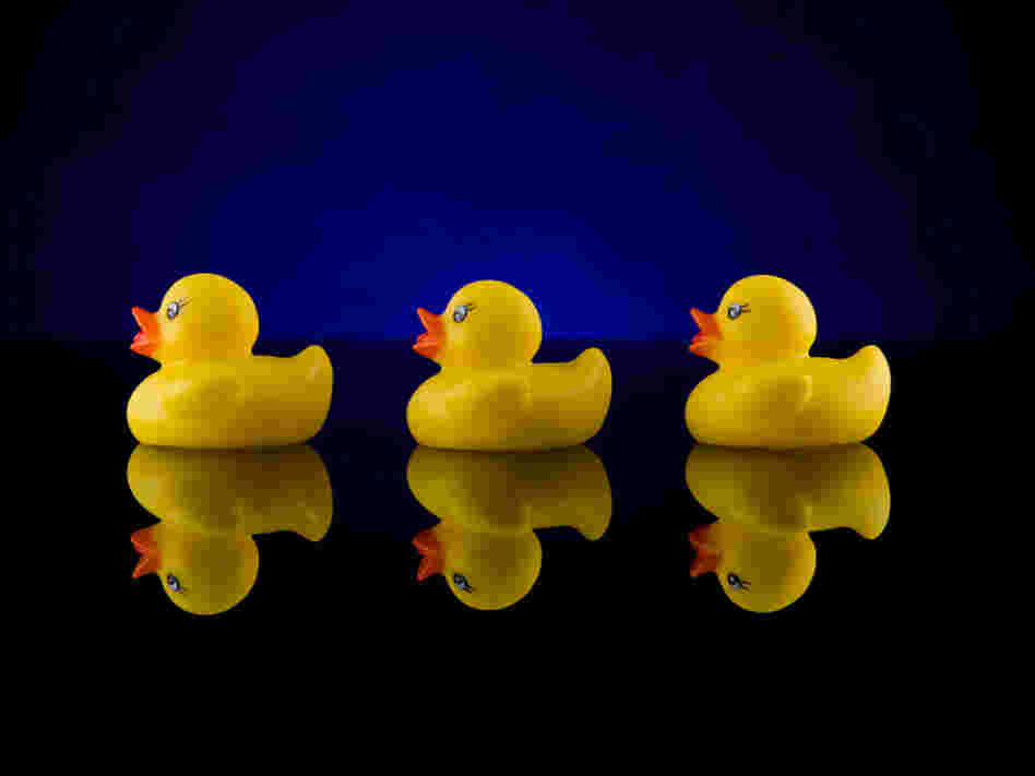 In 1992, 28,800 rubber ducks were lost at sea. What happened to them is the subject of Donovan Hohn's book Moby-Duck.