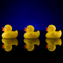 In 1992, 28,800 rubber ducks were lost at sea. What happened to them is the subject of Donovan Hohn's book Moby-Duck. In 1992, 28,800 rubber ducks were lost at sea. What happened to them is the subject of Donovan Hohn's book Moby-Duck.