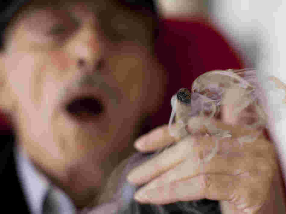 Moshe Rute smokes marijuana at the Hadarim nursing home in Kibutz Naan, Israel, in early March. The Israeli government and a private company are distributing cannabis for medicinal purposes to more than 1,800 people in Israel.