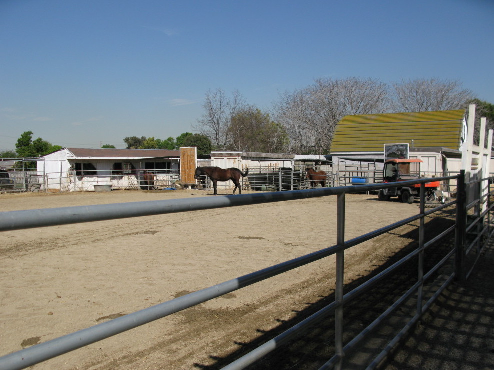 Straight Outta Compton... On Horseback NPR