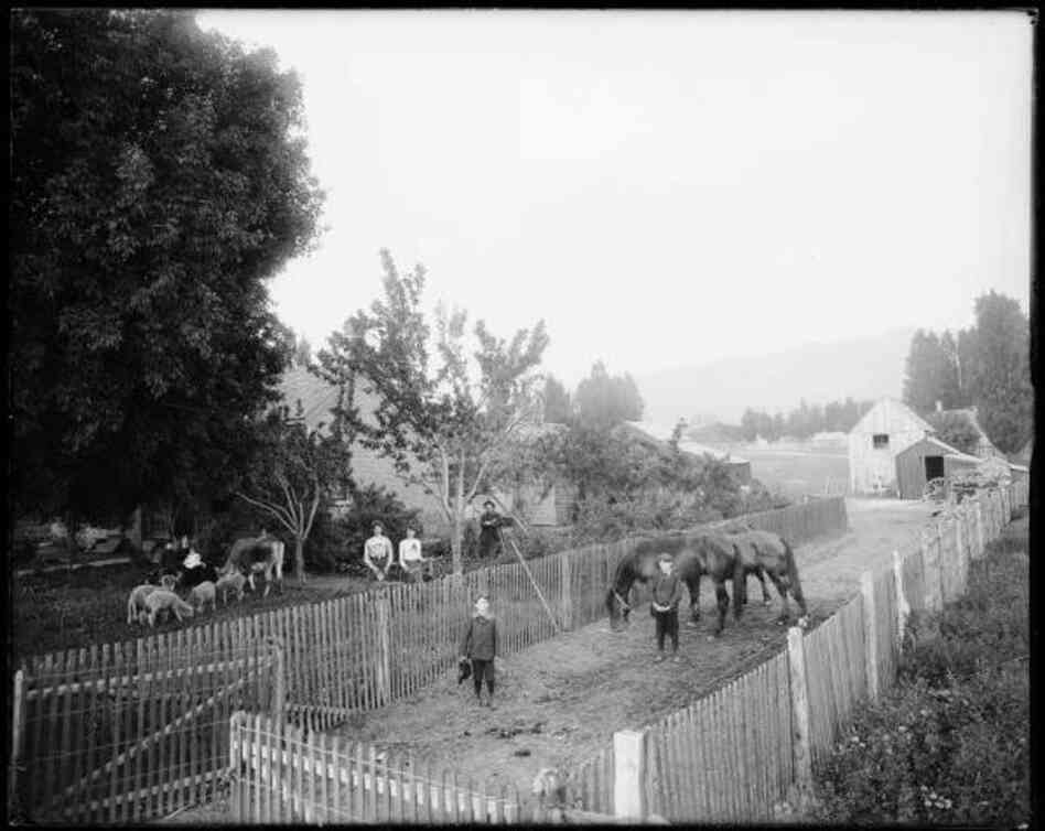 George Naylor, Sugarhouse Ward, Salt Lake City, 1903