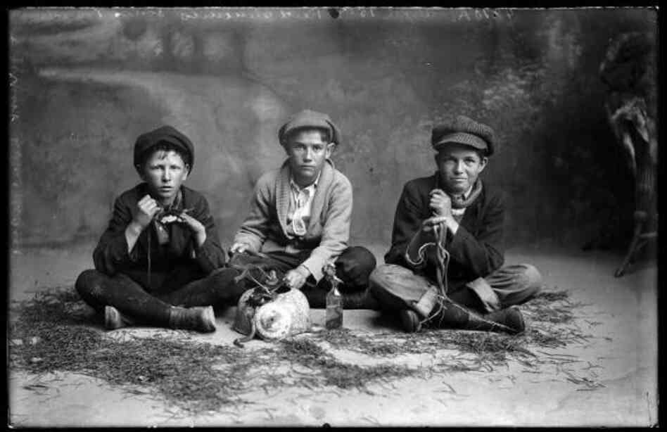 Reed Clements, Louis Tranchell, Gilbert Dillingham and snakes, 1915