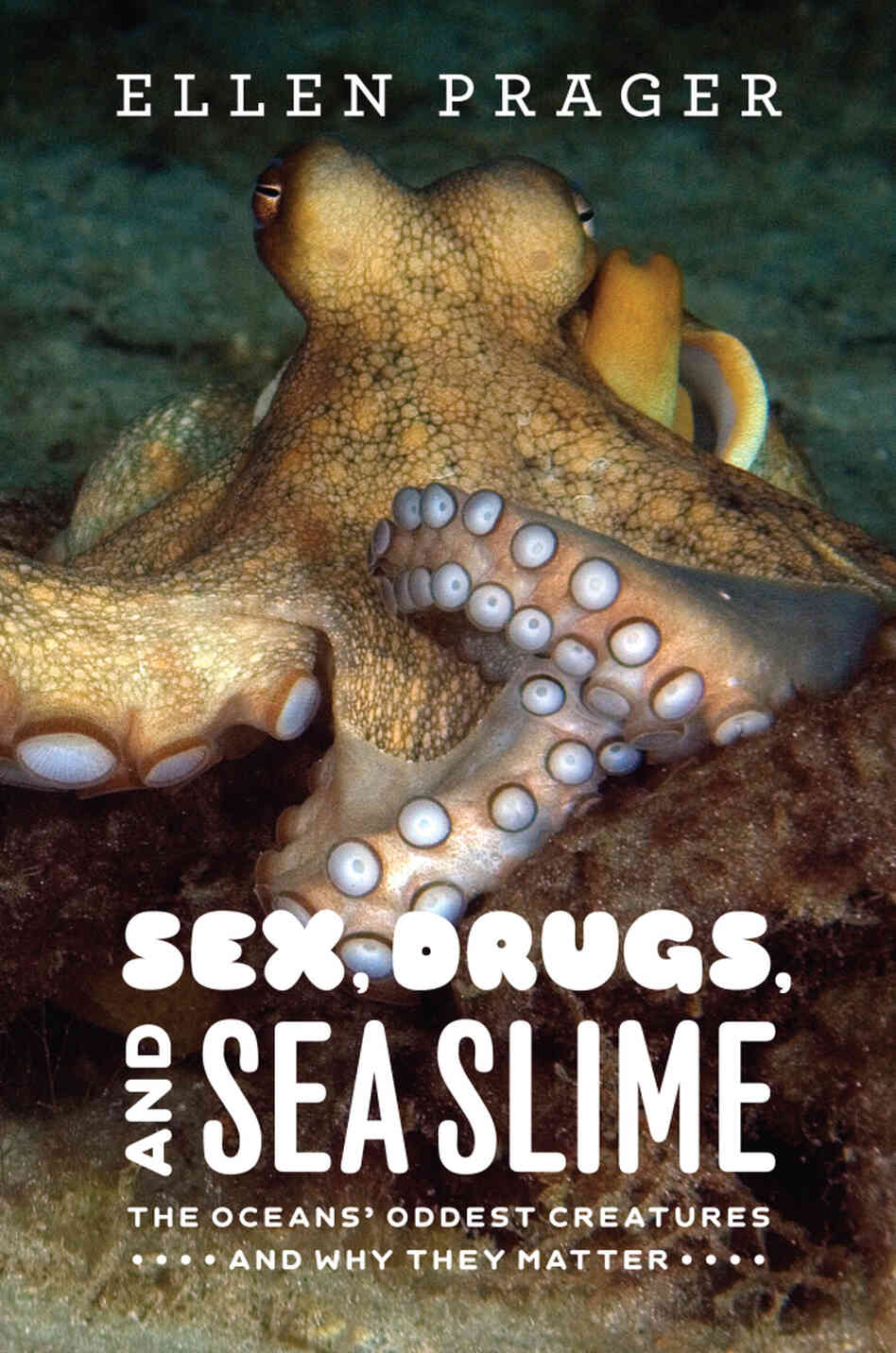 Sex, Drugs, and Sea Slime: The Ocean's Oddest Creatures Sex, Drugs, and Sea Slime: The Ocean's Oddest Creatures