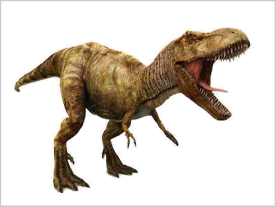 Illustration of a T. Rex Illustration of a T. Rex