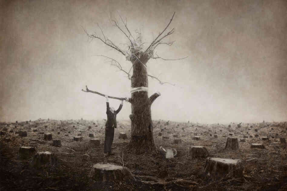 Arbor Day