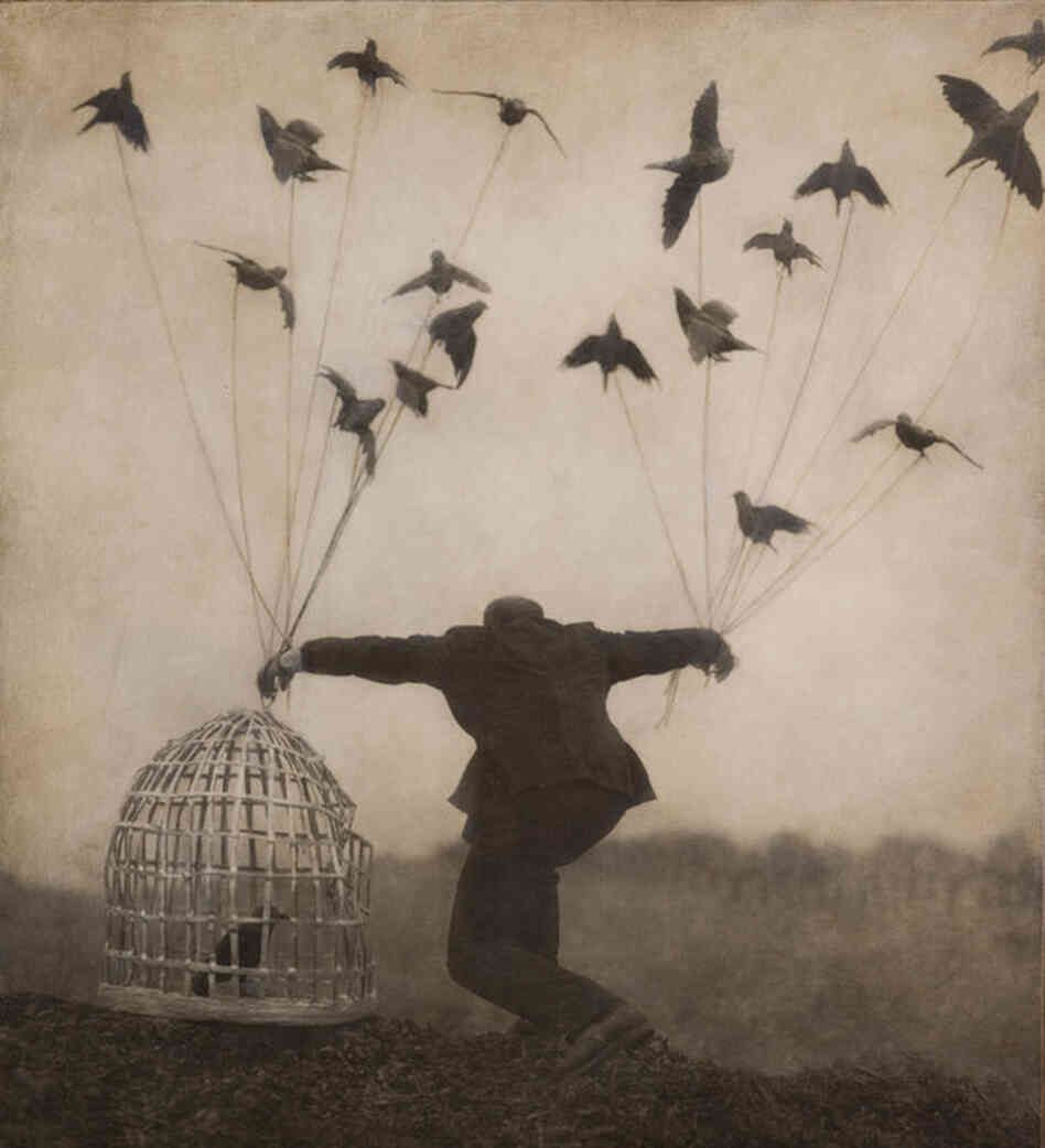 Flying Lessons