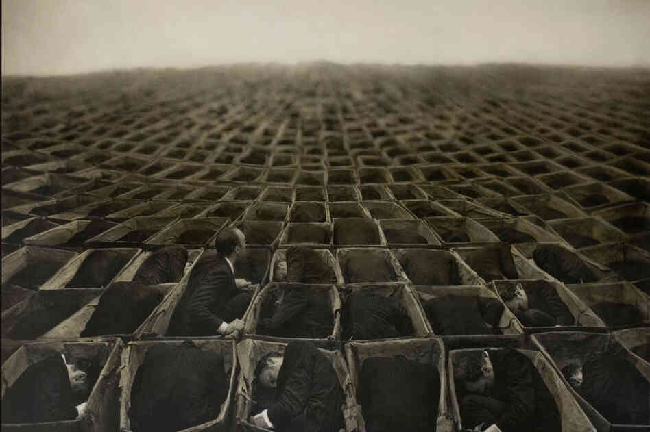 Garden Of Selves