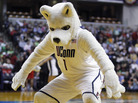 If she's right, the UConn Huskies will be celebrating. If she's right, the UConn Huskies will be celebrating.