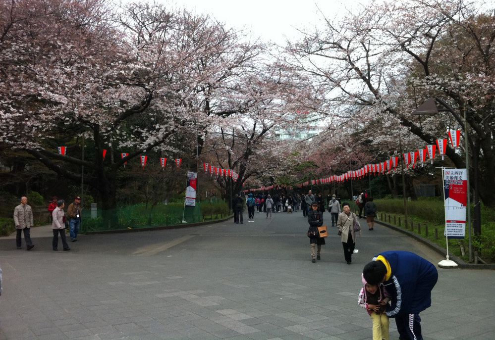 With its bountiful cherry blossoms in full bloom, Ueno Park was a draw for Tokyo residents over the weekend, some of whom ignored discouragement from the city's governor and carried out their annual hanami gatherings despite Japan's crisis.