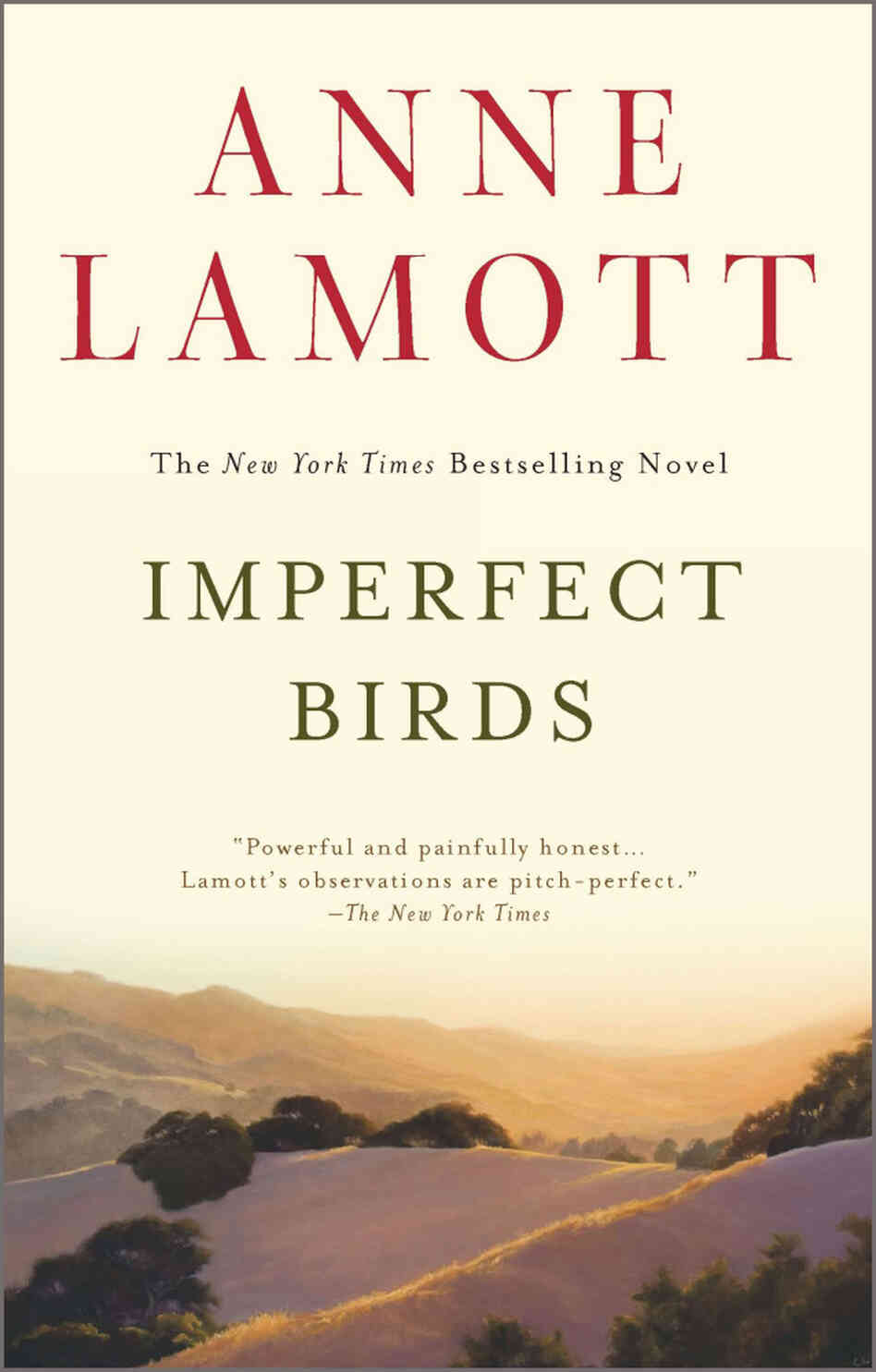 Imperfect Birds Imperfect Birds