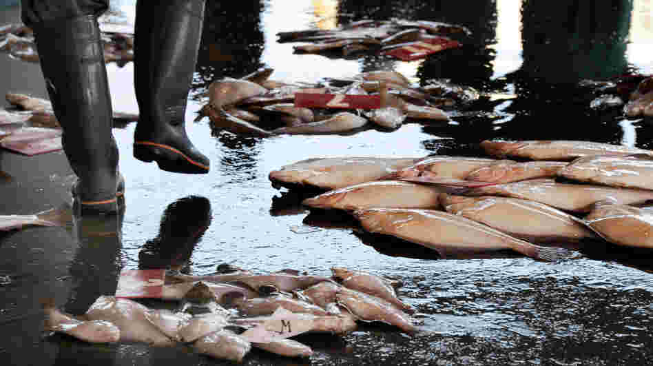 A broker walks between fish at the Hirakata Fish Market in Kitaibaraki, Ibaraki prefecture. The Health Ministry said that iodine-131 at a level of 4,080 becquerels per kilogram had been detected in a small fish called konago, or sand lance, caught off Ibaraki prefecture, south of the plant.