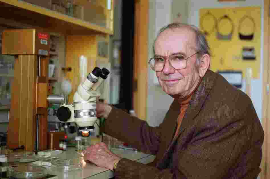 BILL WARREN/Journal Staff Thomas Eisner, emeritus professor of chemical ecology at Cornell University, is pictured in the lab in this file photo from November 2000. Eisner died Friday in Ithaca of complications related to Parkinson's disease at age 85. BILL WARREN/Journal Staff Thomas Eisner, emeritus professor of chemical ecology at Cornell University, is pictured in the lab in this file photo from November 2000. Eisner died Friday in Ithaca of complications related to Parkinson's disease at age 85.