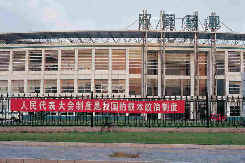 Hiding in the City No. 30, 2006