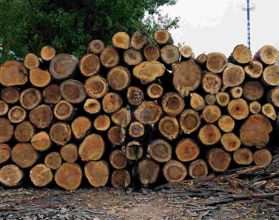 Sawmill, 2010