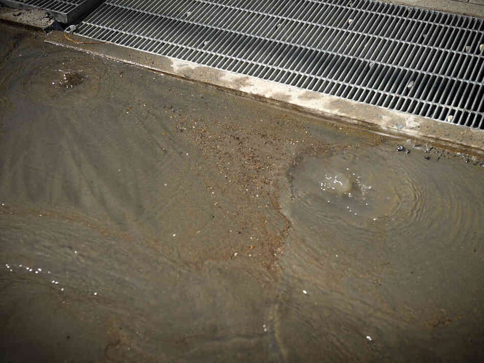 Bubbling water is seen in Chiba, Japan, on March 19, a week after the earthquake. The shaking caused by the earthquake triggered liquefaction, which allows sand and water underground to rise.