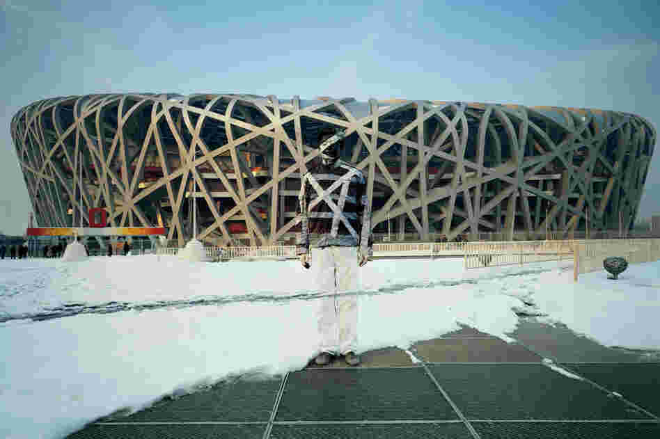Bird's Nest, 2009