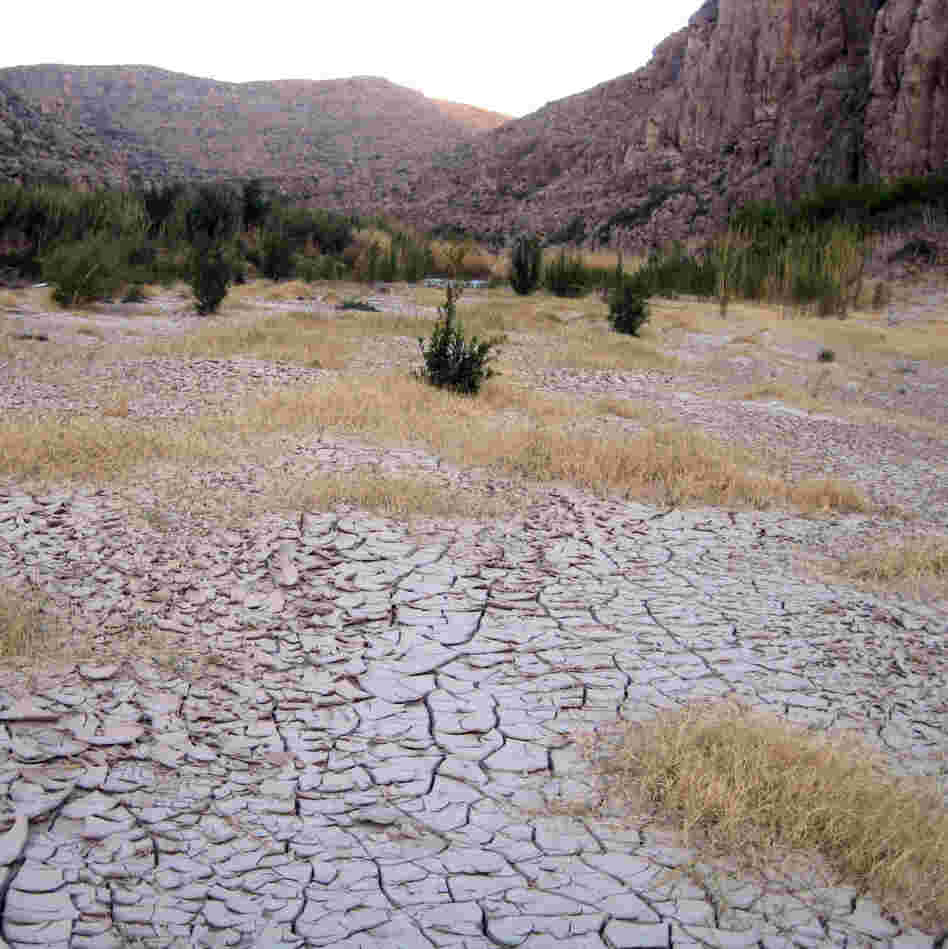 A dry river bed at Big Bend National Park along the banks of the Rio Grande in Texas, where it has not rained since September 2010.