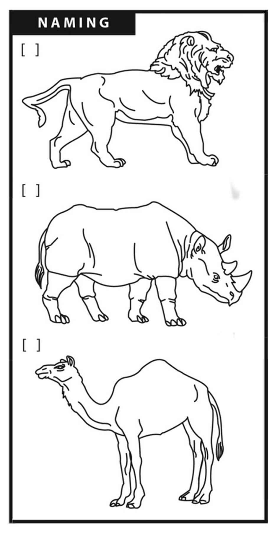 Naming test. Naming test.