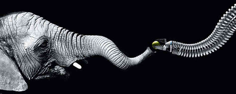 The Bionic Handling Assistant The Bionic Handling Assistant