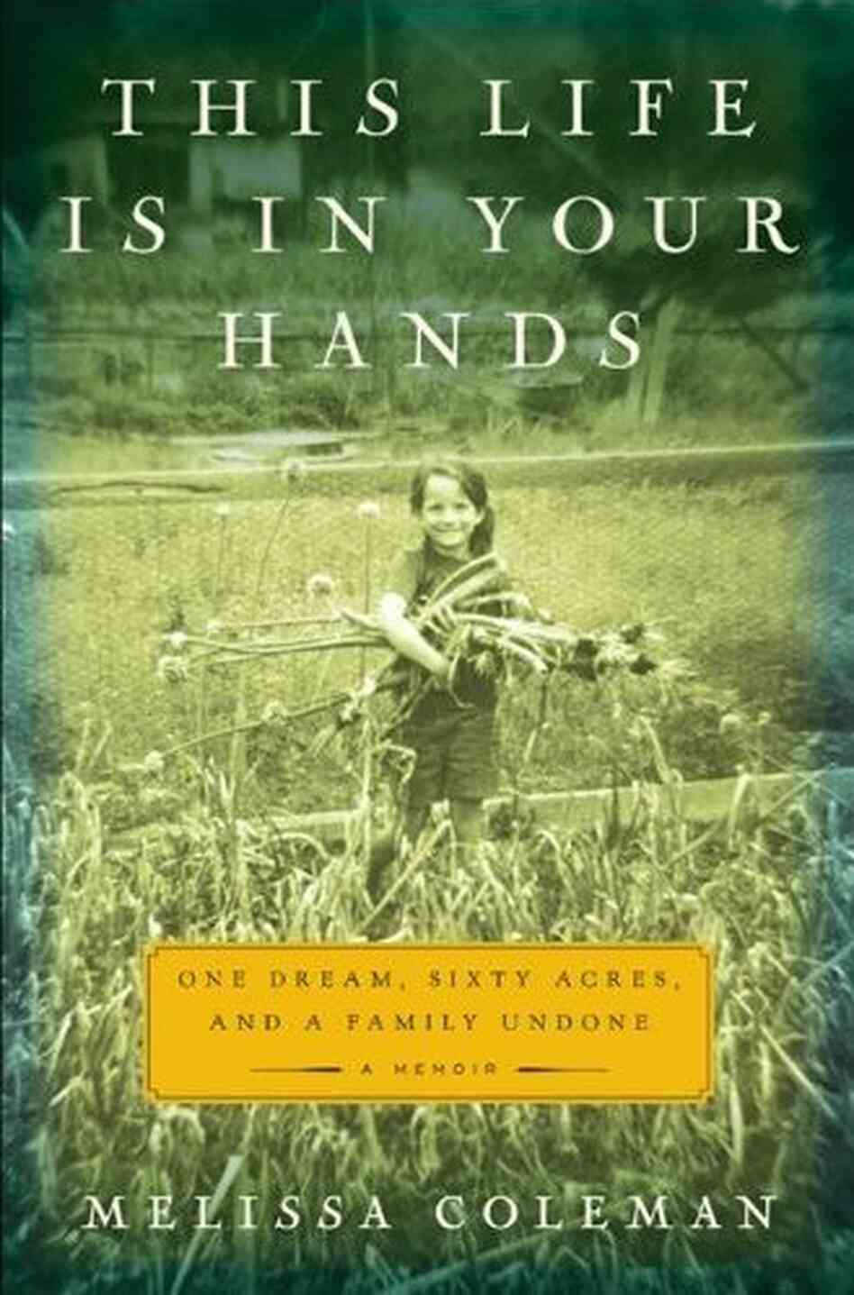 hands hands