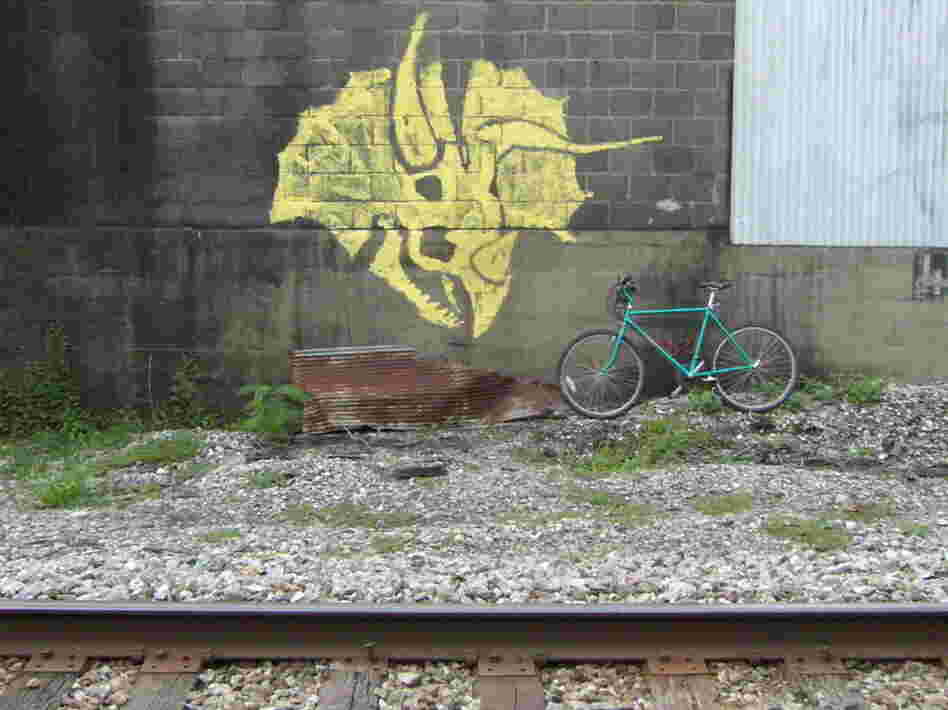 Torosaurus graffiti or Triceratops graffiti ? Torosaurus graffiti or Triceratops graffiti ?