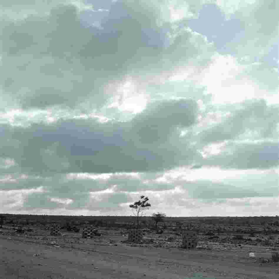 Somaliland landscape.
