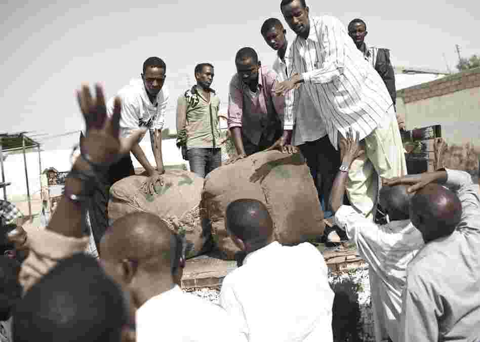 Bales of khat are distributed to retailers in Hargeisa. Kaht is a narcotic leaf that is widely and legally used throughout Somaliland and the Horn of Africa.