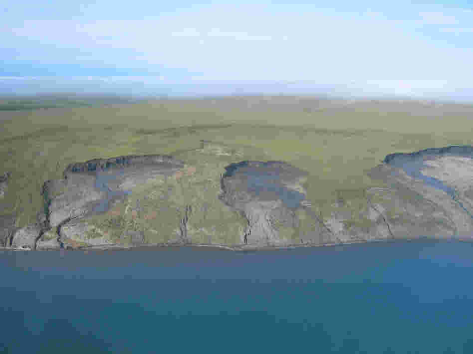 Large slumps of coastal land are caused by the thawing and erosion of ice-rich permafrost. As a result, large quantities of sediment are introduced into the coastal ecosystem, which alters the food web.