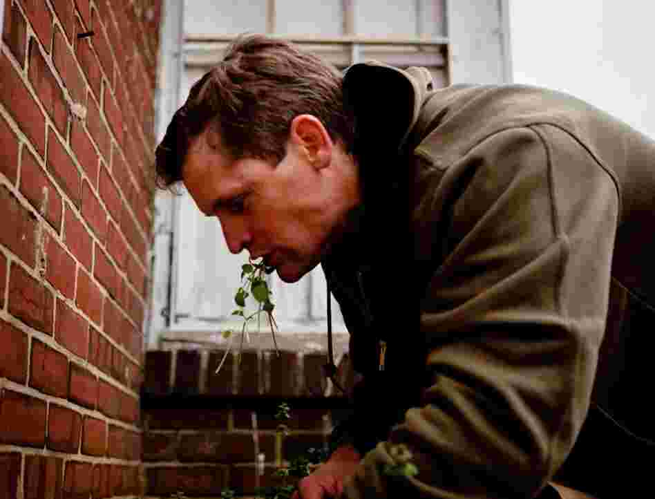 Thayer chomps on some common chickweed while digging for more wild treats in the green spaces around Washington, D.C.